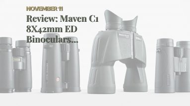 Best reviewed: Maven C1 8X42mm ED Binoculars Gray/Orange