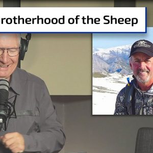 Wild Sheep Stories | Gun Talk Hunt