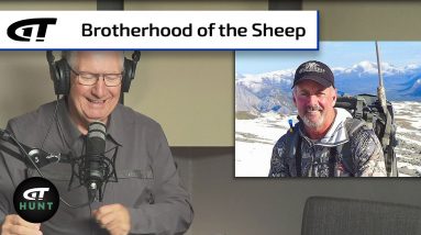 Wild Sheep Stories | Gun Talk Hunt