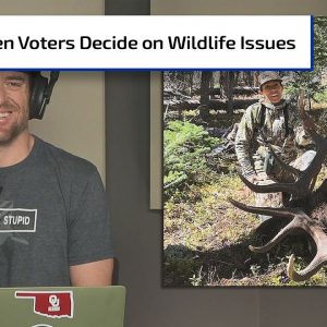 Colorado’s Wolf Problem; 411 on Application Season | Gun Talk Hunt