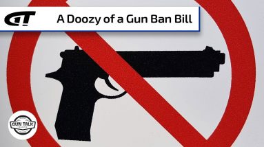 Crazy Gun Ban Legislation Introduced - H.R. 127 | Gun Talk Radio