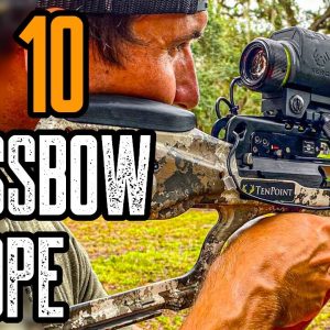 Top 10 Best Crossbow Scopes For The Money