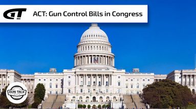 Congress Voting on Gun Control Bills This Week | Gun Talk Radio