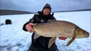 Jigging For GIANT Northwoods Whitefish | Ice Fishing 2021