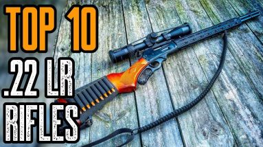 TOP 10 BEST .22LR RIFLES IN THE WORLD
