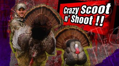 Crazy Scoot N' Shoot Turkey Hunt!! | Wisconsin 2019 Turkey Hunt