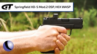 Optics Ready Springfield Armory XD-S Mod.2, WASP Red Dot | Guns & Gear