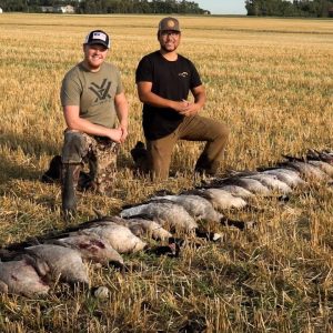 2021 North Dakota Early Goose Hunting | TideWe Boot Review!!