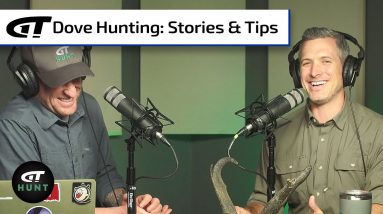 Dove Hunting Gems | Gun Talk Hunt