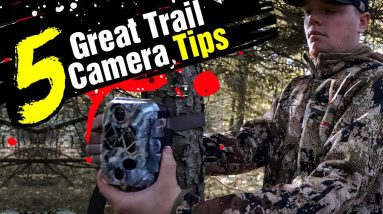 How To Set A Trail Camera | 5 Tips For Beginners