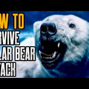 HOW TO SURVIVE A POLAR BEAR ATTACK - Is There Any Way?