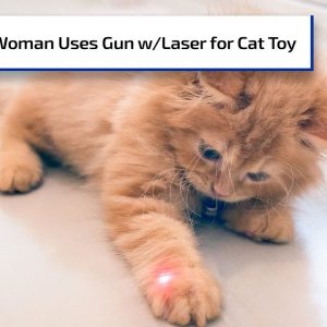 Woman Uses Laser-Equipped Gun as Cat Toy, Shoots Friend | Gun Talk Radio