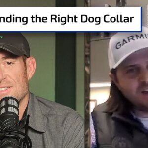 Choose the Right Dog Collar | Gun Talk Hunt