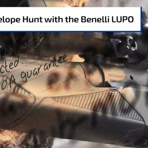 Hunting Antelope with Benelli's LUPO Bolt-Action Rifle | Gun Talk