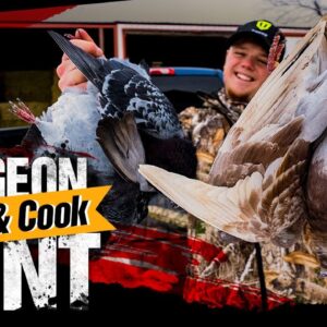 Pigeon Hunting (Catch Clean Cook) | Good or Bad???