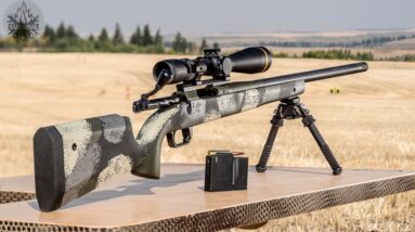 TOP 10 BEST BOLT ACTION RIFLES 2022