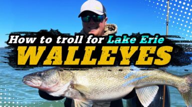How To Troll For Lake Erie Walleyes | Awesome Action!