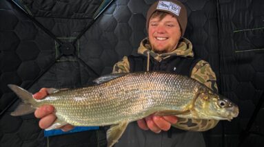 Jigging Up Green Bay Whitefish With Garmin Livescope!!