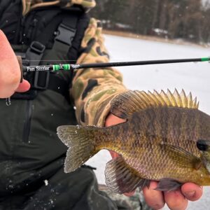 Finding LATE Ice Panfish With Garmin Livescope | Does Livescope Spook Fish??