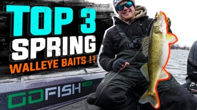 Top 3 Best Spring Walleye Baits | Fox River DePere WI