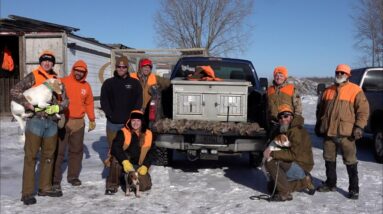 Wisconsin Rabbit Hunt With Beagles | INSANE Action!!