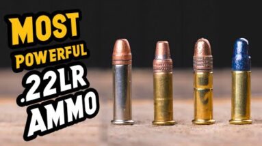 Top 10 MOST POWERFUL 22lr Round For Self Defense
