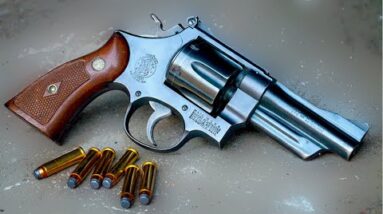 Top 10 Bear Defense Guns That Could Save Your Life