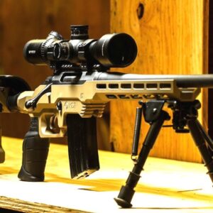 Top 10 Best Budget Precision Rifles 2022