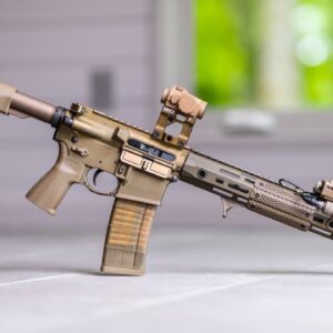 TOP 10 REASONS YOU SHOULD OWN an AR-15 RIFLE!