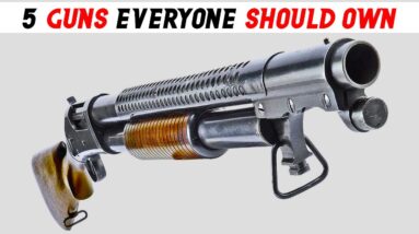 Top 5 MUST HAVE GUNS Everyone Should Own!