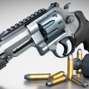 Top 10 Best Revolver Ammo For Home Defense