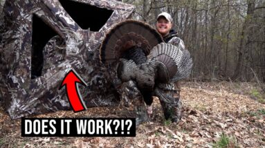 Does The TideWe See Through Ground Blind REALLY Work?!? | Wisconsin Turkey Hunt