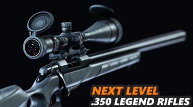Top 5 Best 350 LEGEND Rifles 2023! We Have a NEW #1!