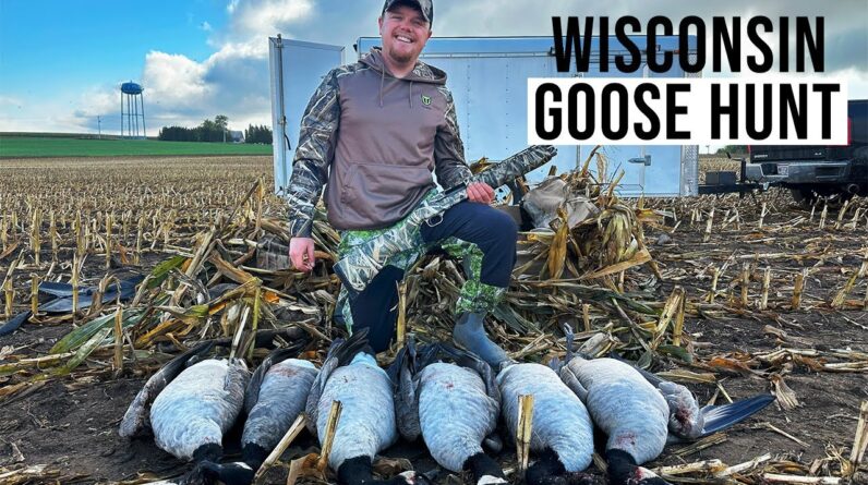 Wisconsin Goose Hunting 2023 | We Shot a LIMIT (NEW TIDEWE BLIND?!?)