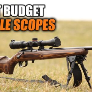 get clear durable and functional scopes on a budget top 10 choices 1
