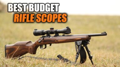 get clear durable and functional scopes on a budget top 10 choices 1