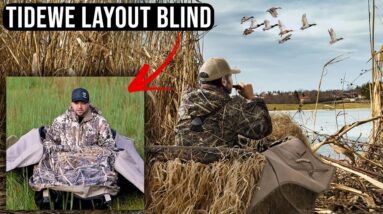 TideWe Layout Blind Review (NEW PRODUCT!!)