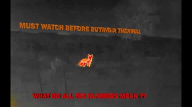 a comprehensive beginners guide to purchasing thermal scopes for hunting 3