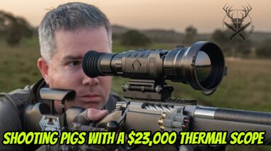 pest control with infiray rico rs75 thermal scope feral pig hunting in the outback 2