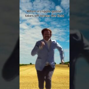 Chasing After a Cripple Goose #hunting