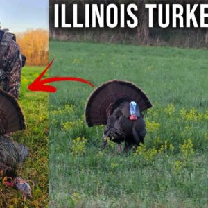 Illinois Turkey Hunt 2024 (Using the TideWe Turkey Vest!!)