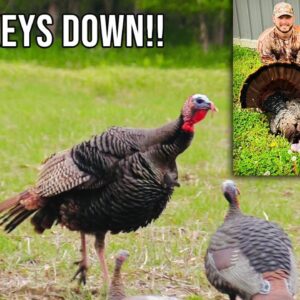 INASANE Turkey Hunt!! (2 Turkeys Down!!)