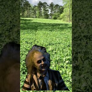 After Prepping a Food Plot All Summer Long #huntinggear