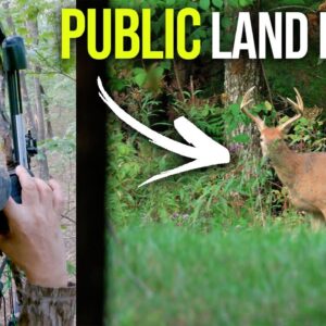 Early Season Archery Hunt (KY PUBLIC Land!!)