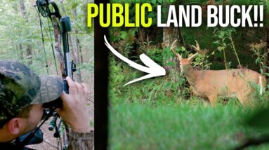Early Season Archery Hunt (KY PUBLIC Land!!)