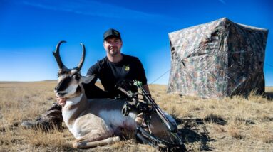 See Through Ground Blind Pronghorn Hunt: Best Tactics & Close Encounters!