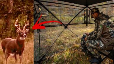 Deer Hunting Using The TideWe SEE THROUGH Ground Blind!!