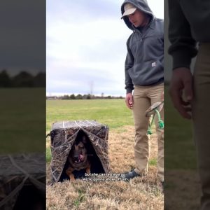 🐾 Blind Dog's Joy🌳Exploring Outdoors with #huntinggear #Tidewe #chirstmas #outdoors #hunting