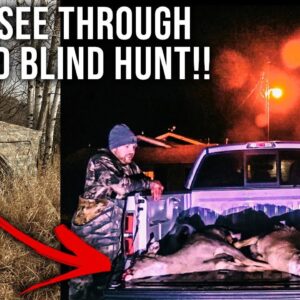 Doubled Up on Does Out of the TideWe See Through Ground Blind!! | Illinois Gun Hunt 2024