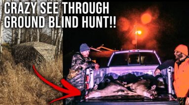 Doubled Up on Does Out of the TideWe See Through Ground Blind!! | Illinois Gun Hunt 2024